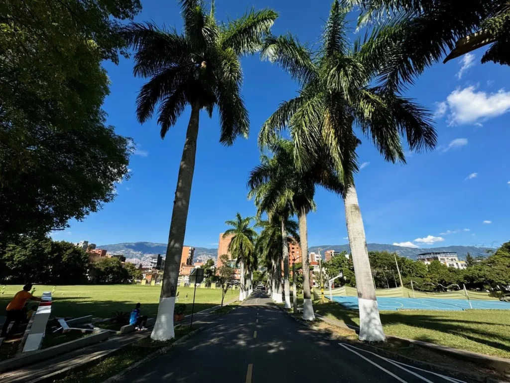 La UNAC hace parte del programa paloma que incentiva el intercambio academico entre estudiantes de pregrado y posgrado del occidente colombiano